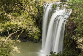 Whangarei Falls in New Zealand (Oceania)