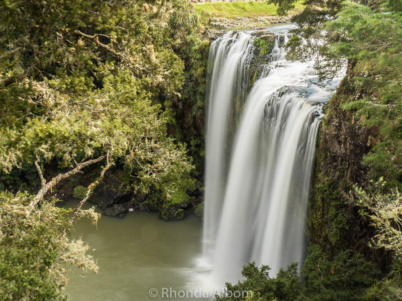 Whangarei Falls in New Zealand (Oceania)