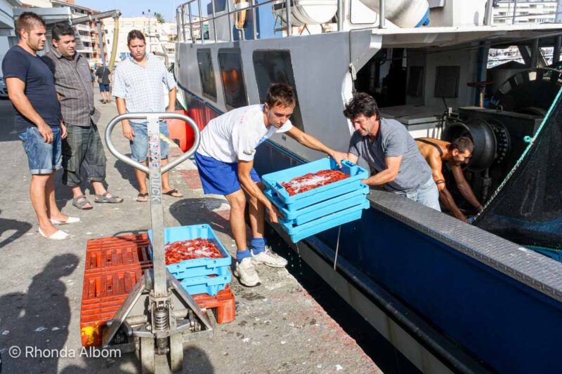 Fishing boats return for auction in Palamos, Spain