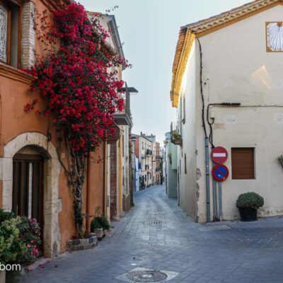 The street in the medieval section of Palamos Spain that inspired Rhonda Albom's first novel